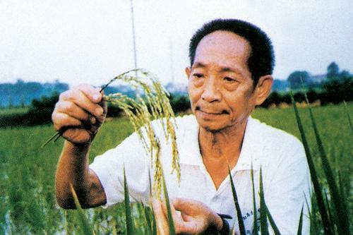 袁隆平的小名被传开，出生档案仍在北京协和，接生他的是林巧稚