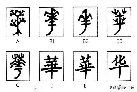 问大家一个问题，都说我们是华夏子孙，华是中华，夏是指什么？