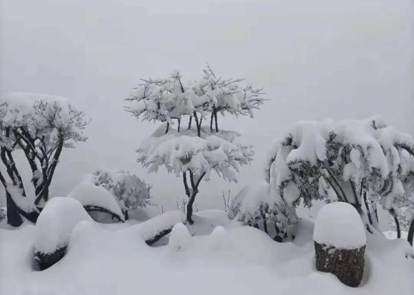 安徽多地强降雪，预警密集发布！春节期间还有多轮降雪