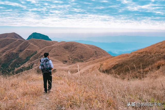 鼠年新春的特殊团圆：跨越世俗凡尘的亲情，灾疫围城中的一线相牵