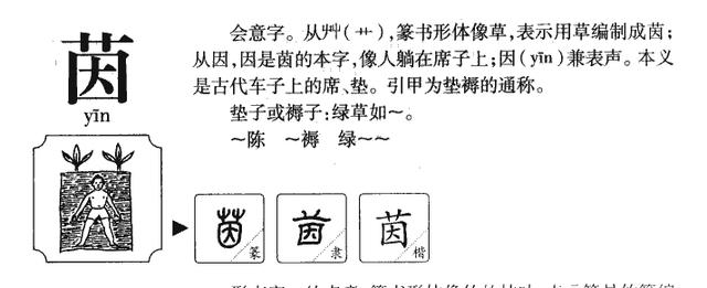 带茵字气质出众的女孩名字，让你心动而不自知