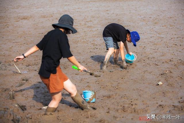 暑期浙江海边游全攻略：避暑玩水住民宿吃海鲜大餐，跟着走就行