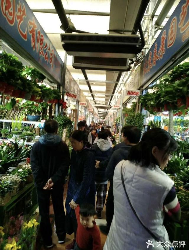 想买花扮靓春节？今天推荐9家值得一逛的京城花市