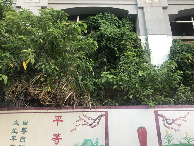 消失的女商人：落马官员相助低价购入海南酒店，获利7倍抽身