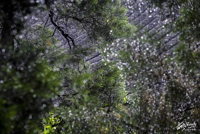 扬州这座被誉为“淮东第一观”的大明寺，到底都有哪些不俗之处