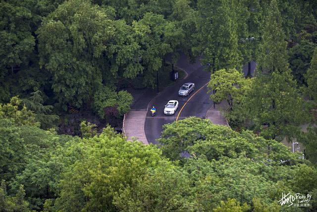 扬州这座被誉为“淮东第一观”的大明寺，到底都有哪些不俗之处