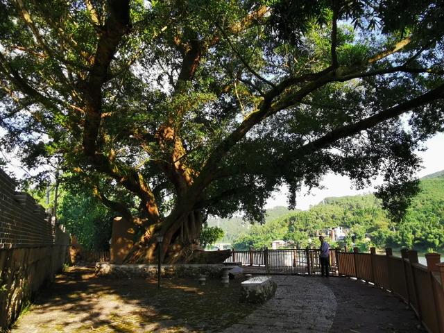 《沙县百家姓》与读者见面，你想了解的这本书都有