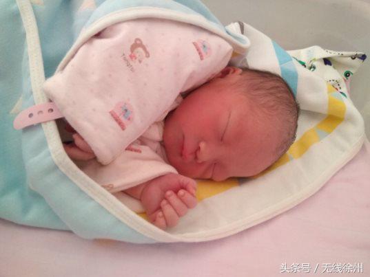“狗宝宝”来啦：大年初一，徐州市区75个“狗宝宝”降生