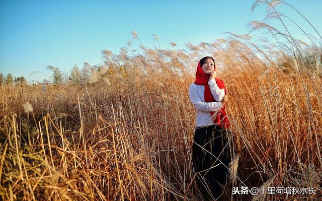 《玉米》和《青衣》：探析作家毕飞宇对作品中女性悲剧群像之解读