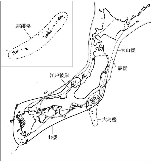 称霸“樱花界”的染井吉野，其实是克隆花？