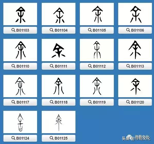 余-汉字的艺术与中华姓氏文化荀卿庠整理