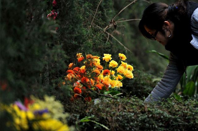 清明节，扫墓祭祖牢记“3忌4不带”，老传统要遵循，家兴子孙旺