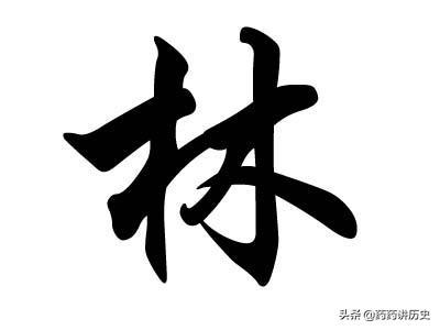 姓林的取什么名字好听？