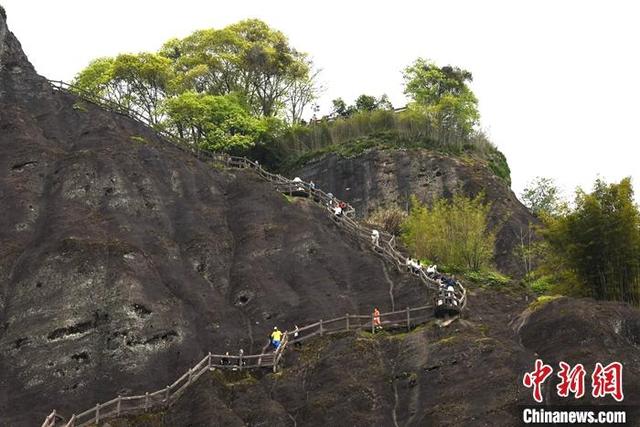 探秘武夷山国家公园：人与自然和谐共生