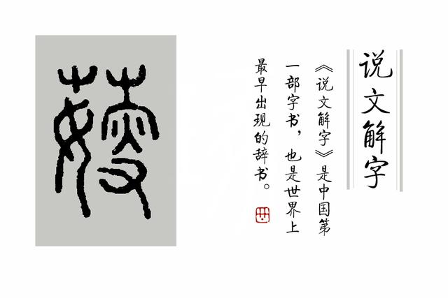 汉字说：“呦呦鹿鸣，食野之芩”里的“芩”是什么植物