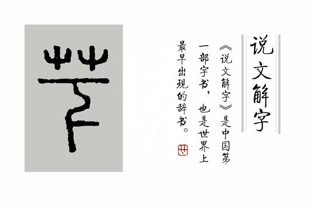 汉字说：“呦呦鹿鸣，食野之芩”里的“芩”是什么植物