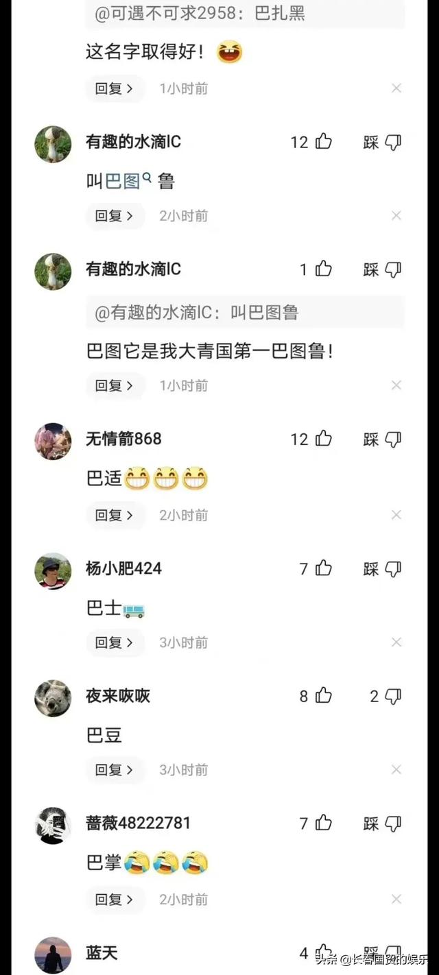 宋丹丹儿子官宣二胎得子，网友为宝宝取名欢乐多，却原来闹了乌龙