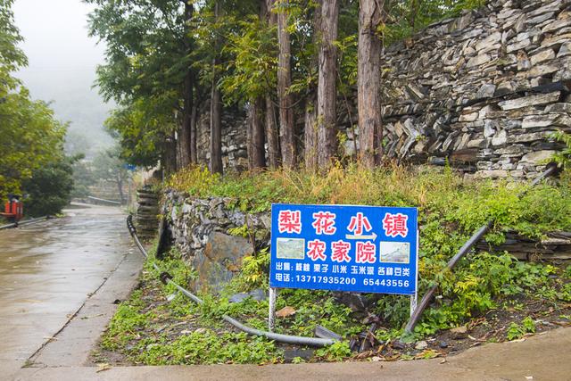 房山的这条路，串联了一季秋色