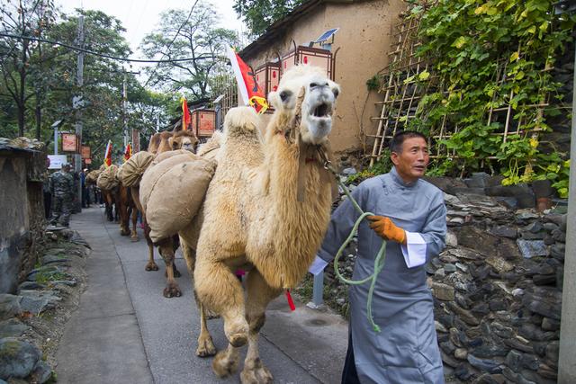 房山的这条路，串联了一季秋色