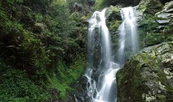 下一站，常山、开化！邀你免费游……