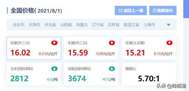8月生猪走势喜迎“开门红”，三大猪种整体上涨，还有3个好消息