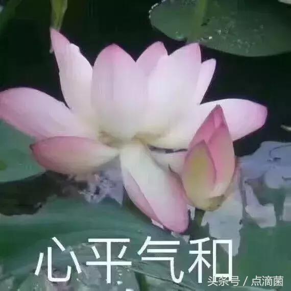 敢杀王校长三次的VG打野发微博了：我在场上没有把他当做王思聪