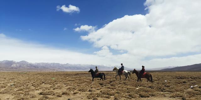 素月子里，一只狗嘴中的西藏旅游小牢骚