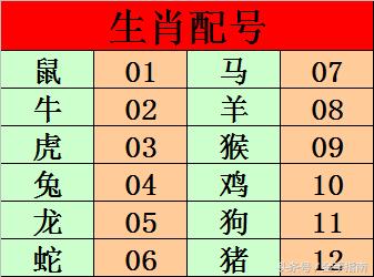 水镜先生大乐透第20018105期后区生肖五行配 连续准