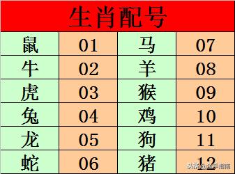 水镜先生大乐透第20018147期后区生肖五行配 连续准