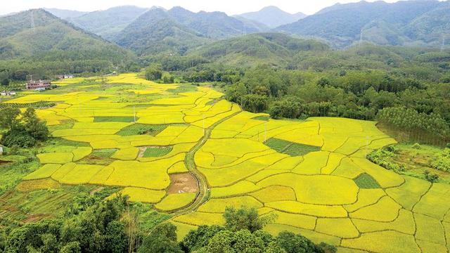 龙门四围村：名字源于四兄弟建围屋 曾因石灰矿富甲一方