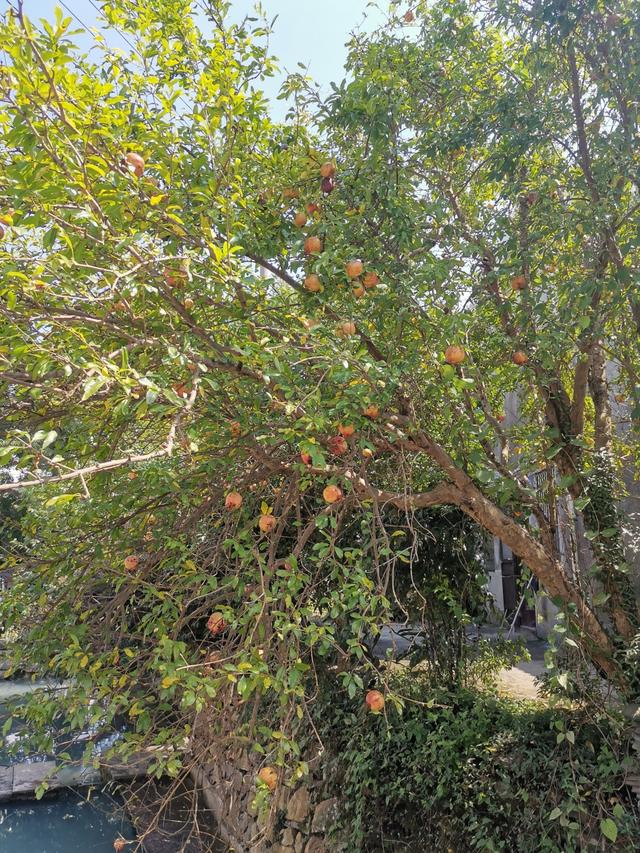 中秋休闲一日游（上）