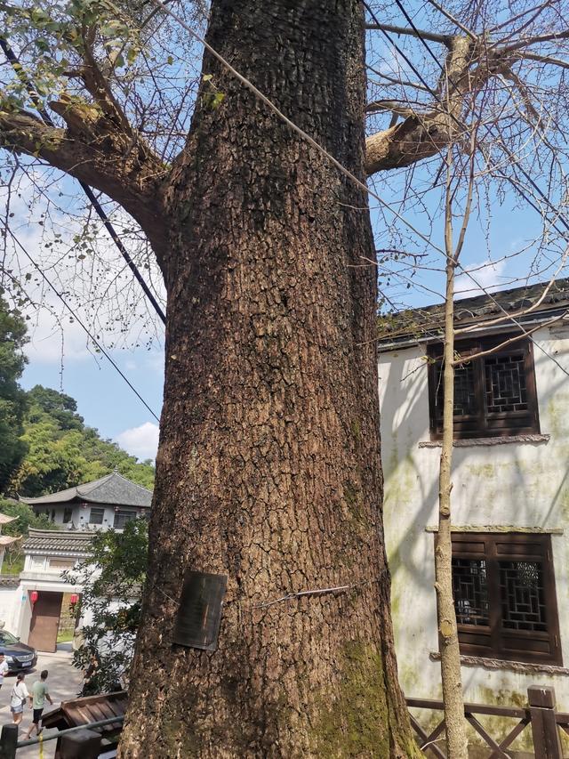 中秋休闲一日游（上）