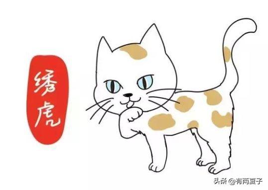 想养猫吗？良辰吉日选了吗？聘礼备了吗？拜神了吗？