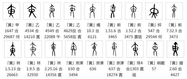 汉字探源：黄字本义原来是一只昆虫