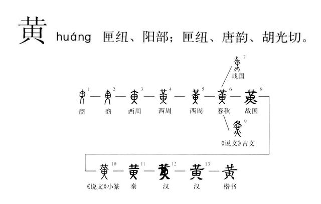 汉字探源：黄字本义原来是一只昆虫