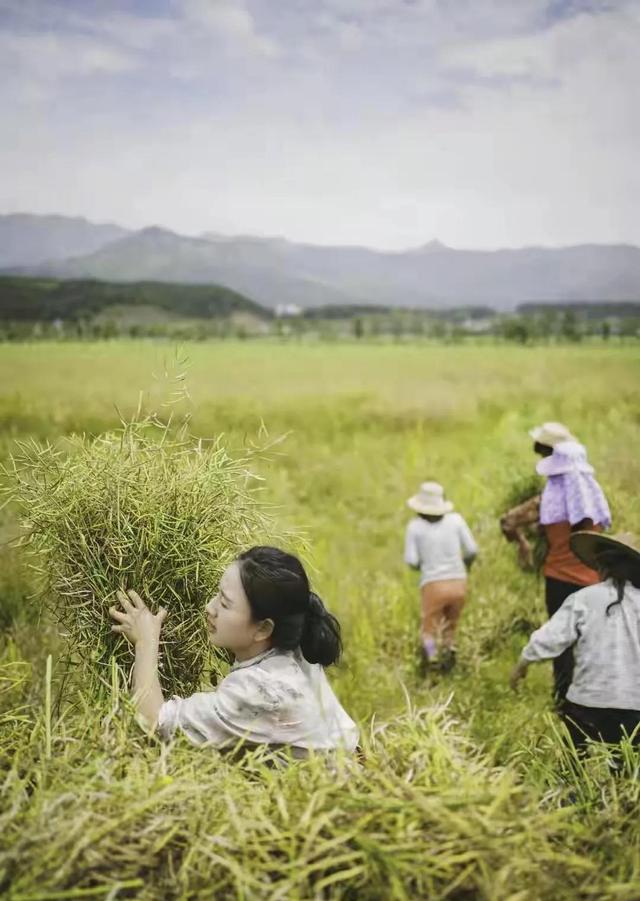 和李子柒旗鼓相当，三年涨粉1800+w，但她说：我的梦想不是当网红