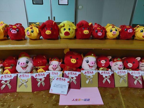 春节头6天 浙大妇院迎来273位“猪宝宝”