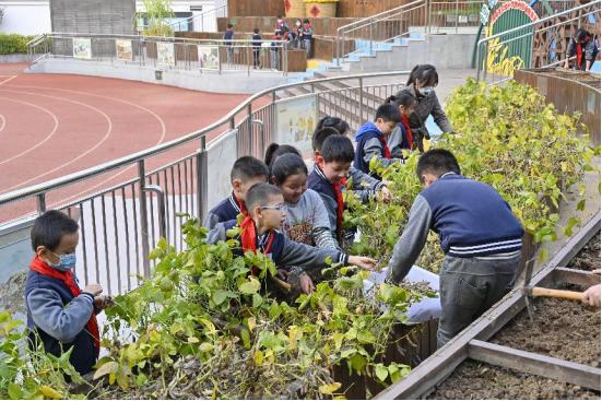 了不起！我省这所学校去年干了这十件大事……