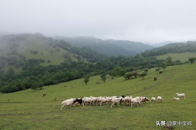 陕西陇县地名故事——晁家坡的人为啥多数不姓晁？