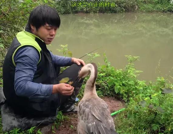 又脏又野，但真招人喜欢