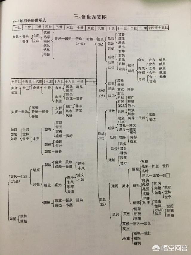 在农村编写家谱时，家谱中世系怎么排列？用什么格式编写最好？