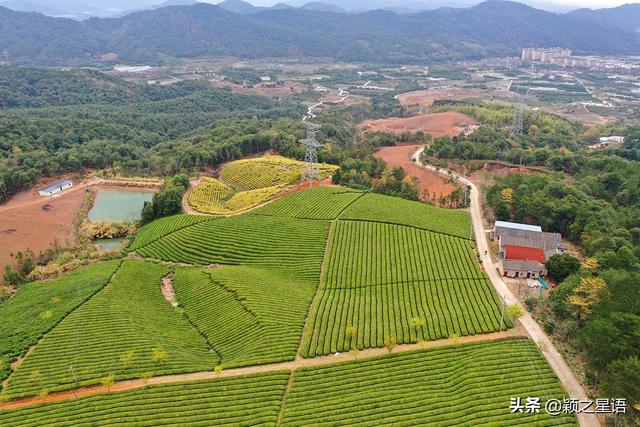 宁波44个森林乡村，9个村庄没有森林，19个村庄可旅游