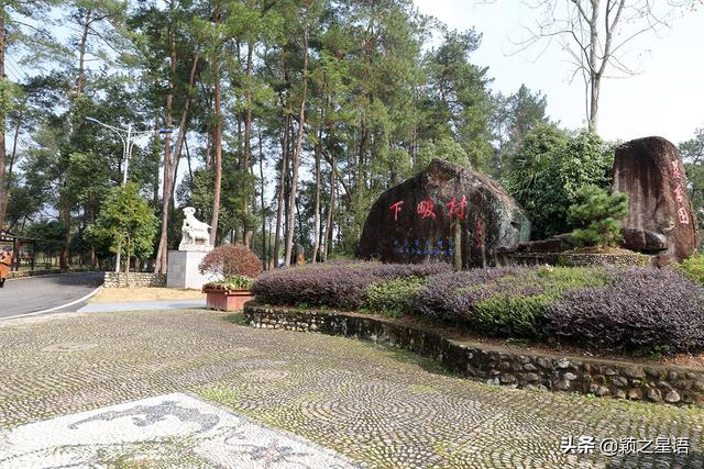 宁波44个森林乡村，9个村庄没有森林，19个村庄可旅游