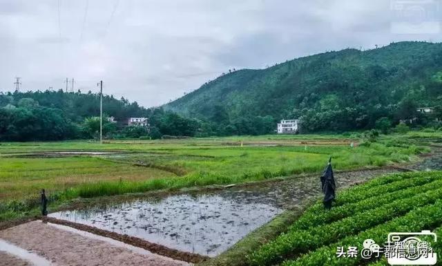 「方志于都」于都县利村乡地名