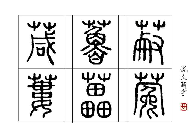 几个活在《说文解字》里的与植物有关的汉字