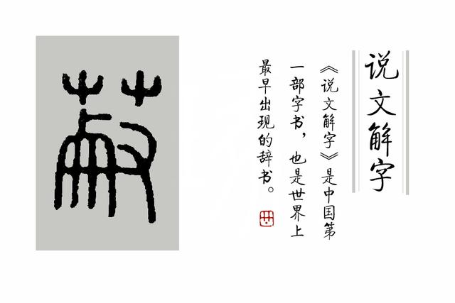 几个活在《说文解字》里的与植物有关的汉字