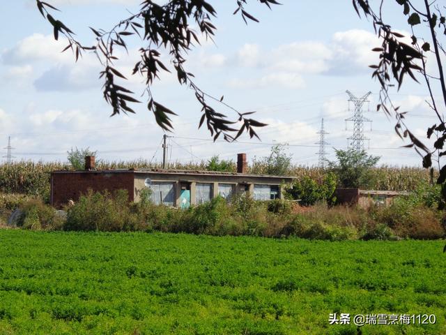 地名档案 | 沈北新区财落街道：动迁后的郎士屯