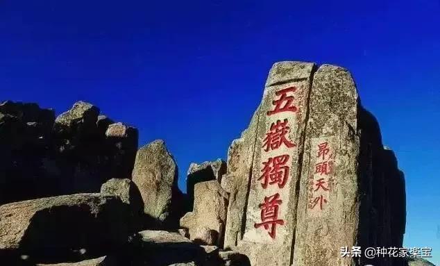 泰安，为什么叫泰安？你还真不一定知道~ 山东省各地市名的由来