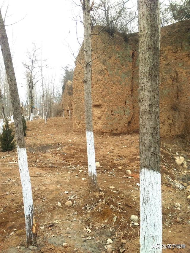 河南洛宁：陈吴乡禄北村安居寨里的范姓