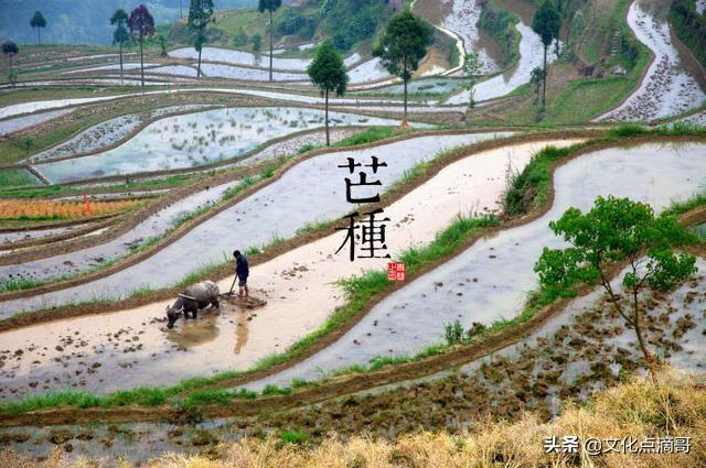 十二生肖和二十四节气有什么关系？